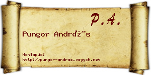 Pungor András névjegykártya