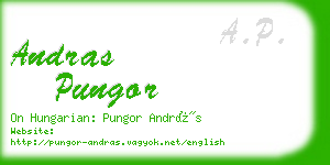 andras pungor business card